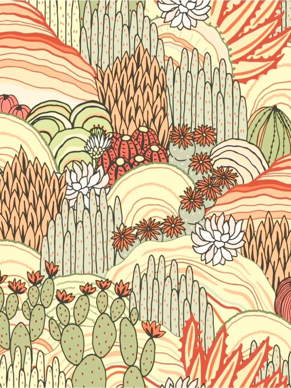 🌵 LIVE SHOW LISTING 🌵